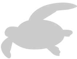 Tortuga vector