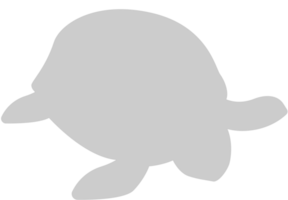 Tortuga vector