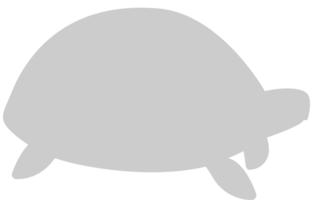 Tortuga vector