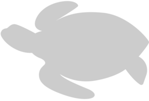 Turtle vector