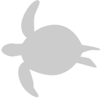 Tortuga vector