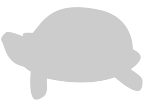 Tortuga vector