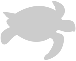 Tortuga vector