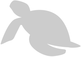 Tortuga vector