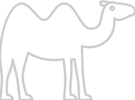 Camel vector