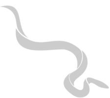 Snake vector