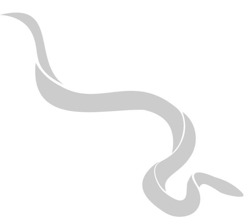 Snake Diagram Vector Art, Icons, and Graphics for Free Download