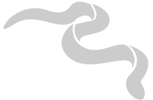 serpiente vector