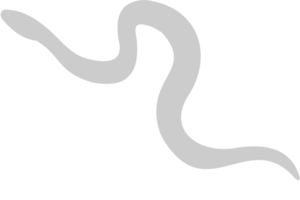 serpiente vector