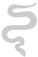 Snake vector