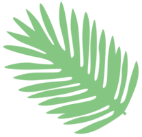 leaf palm vector