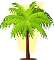 coconut tree vector