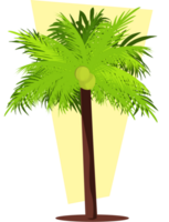 árbol de coco vector