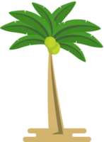 coconut tree vector