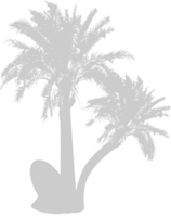 palmera vector