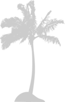 Palm Tree vector