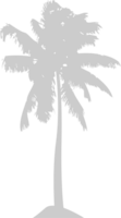 Palm Tree vector