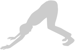 yoga vector