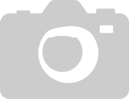 Camera vector