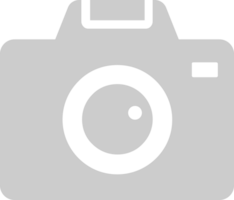 Camera vector