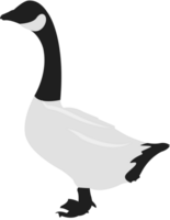 goose vector