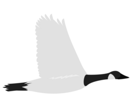 goose vector