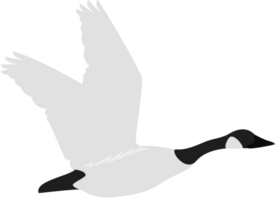 goose vector