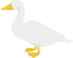 goose vector