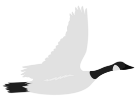 goose vector