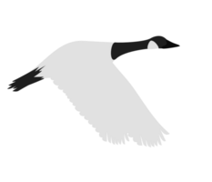 goose vector