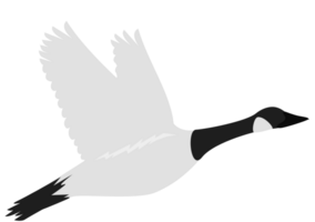 goose vector