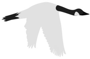 goose vector