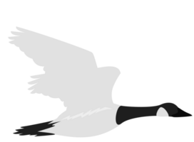 goose vector