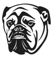 bulldog vector