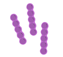 bacterias vector