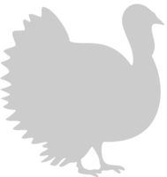 Turkey vector