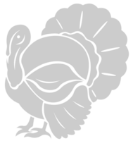 Turkey vector