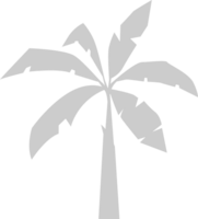 Palm Tree vector