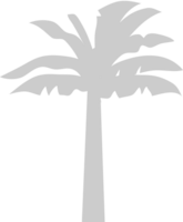 palmera vector