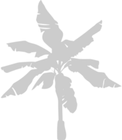 palmera vector