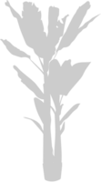 palmera vector