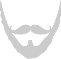 Beard vector