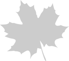 Maple Leaf vector