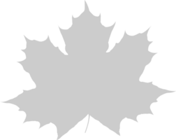 Maple Leaf vector