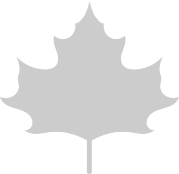 Maple Leaf vector