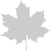 Maple Leaf vector