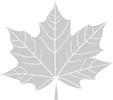 Maple Leaf vector