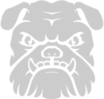 Bulldog  vector