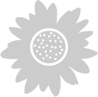 Sunflower  vector