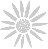 Sunflower  vector